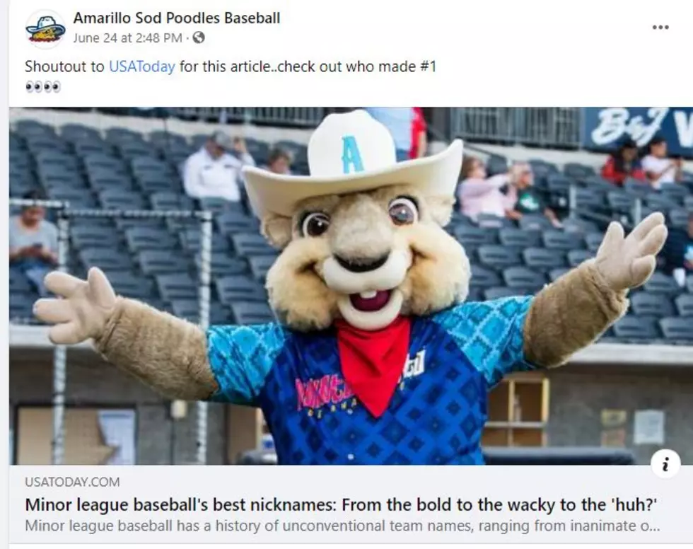 credit: Amarillo Sod Poodles Facebook