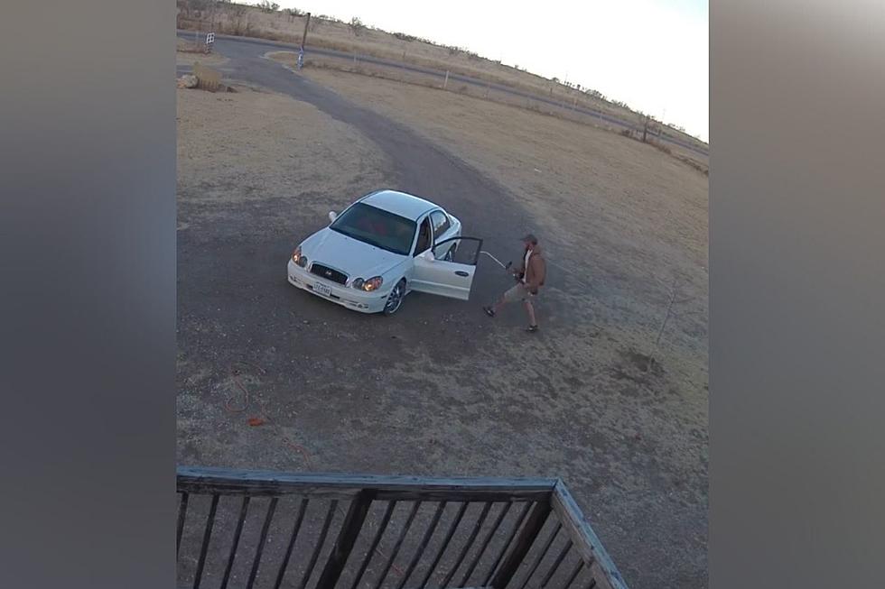 This Amarillo Thief Is Either Really Brave, Or Just Plain Dumb