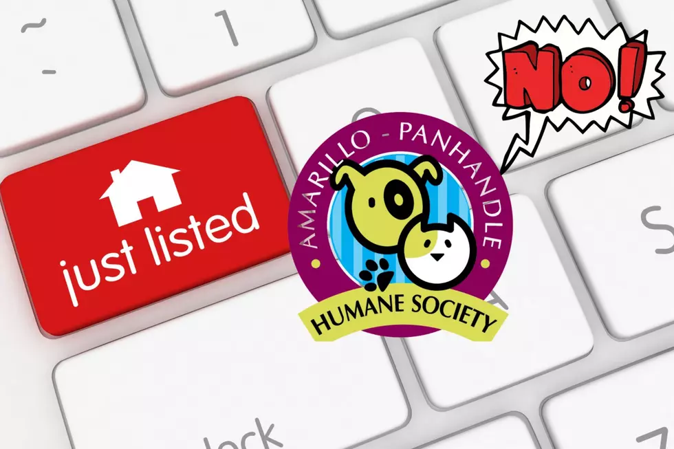 Listed And Not Loving It: The Amarillo Humane Society Not Selling