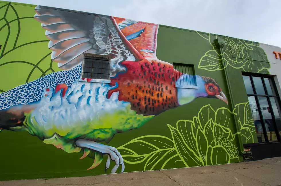 You Have To See This Beautiful Blank Spaces Mural Found At The Pergola Shop