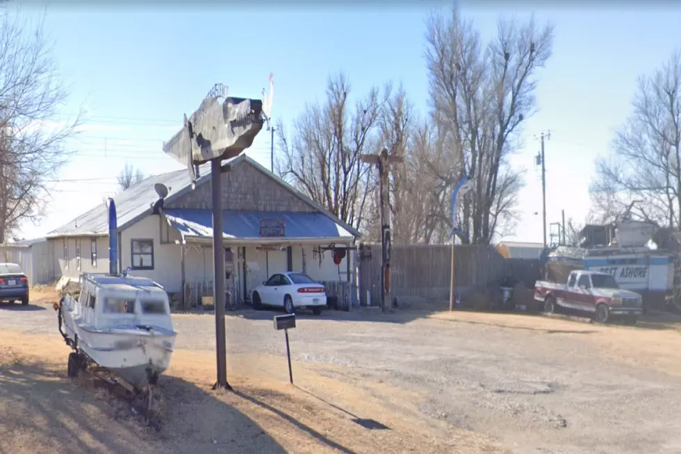 Did You Ever Make The Trip To See Gators In Spearman, TX?