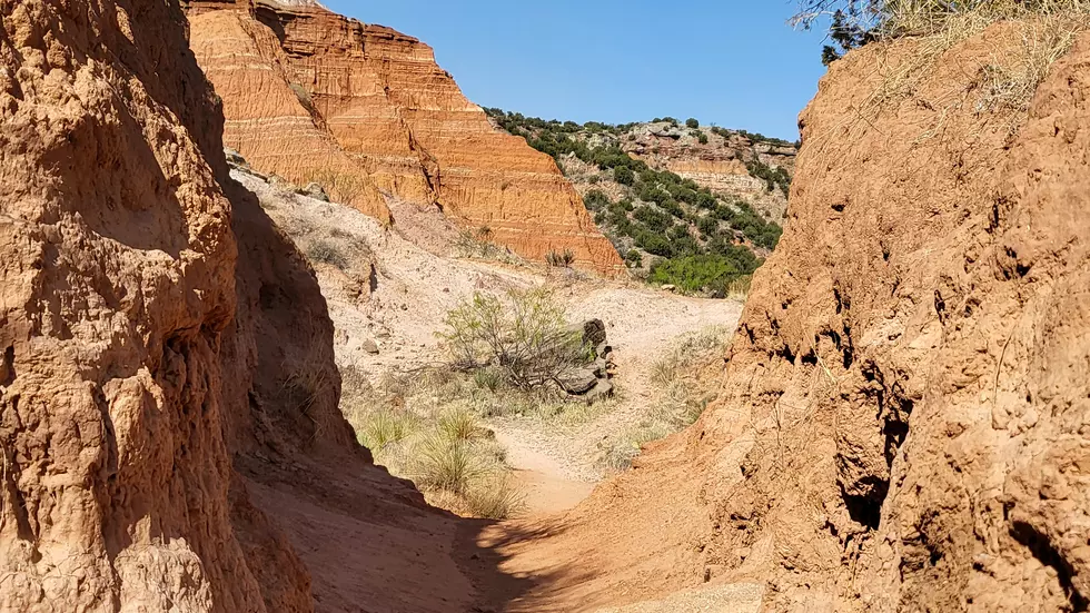 Celebrate 100 Years of Texas State Parks In Palo Duro Canyon
