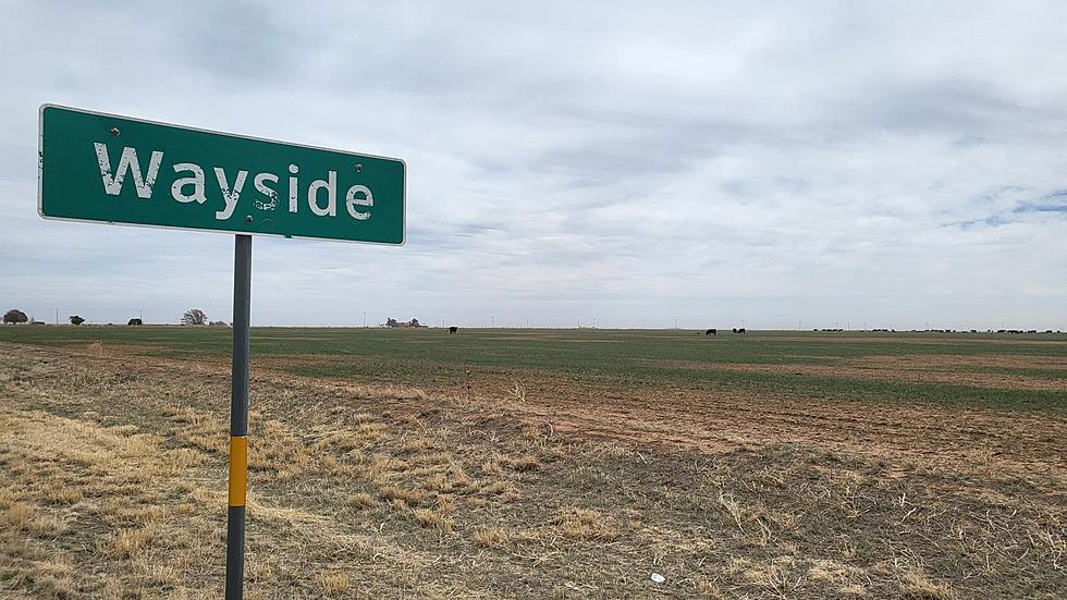 Do You Know Why Texas Would Need 6 Different Towns Named Wayside?