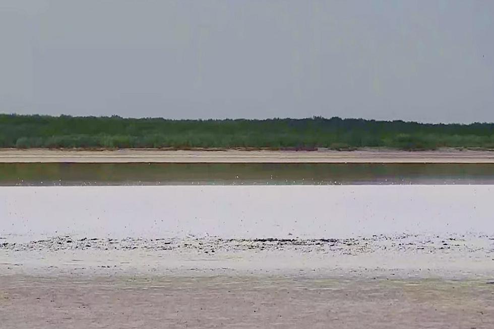What Makes This Texas Lake So Special? 4 Million Tons Of Salt.