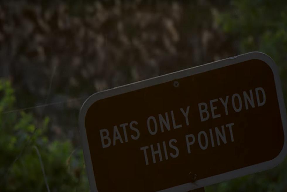 15 Million Bats Call This One Place In Texas Home Sweet Home