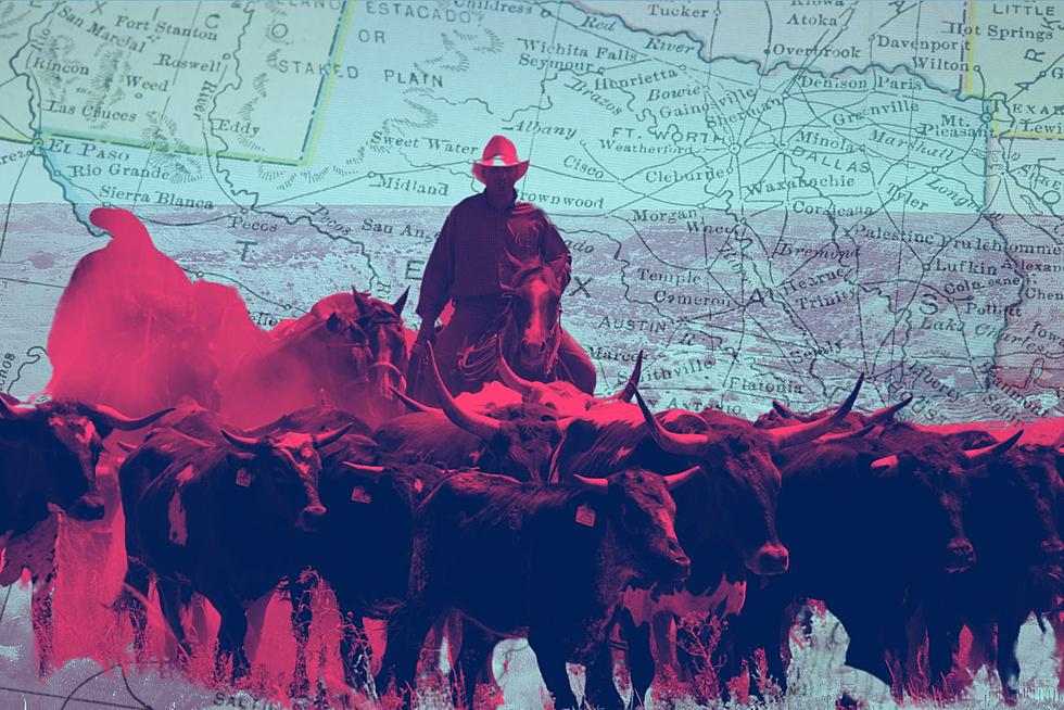 How Big Is Big In Texas? Looking At The Biggest Cattle Drive Ever
