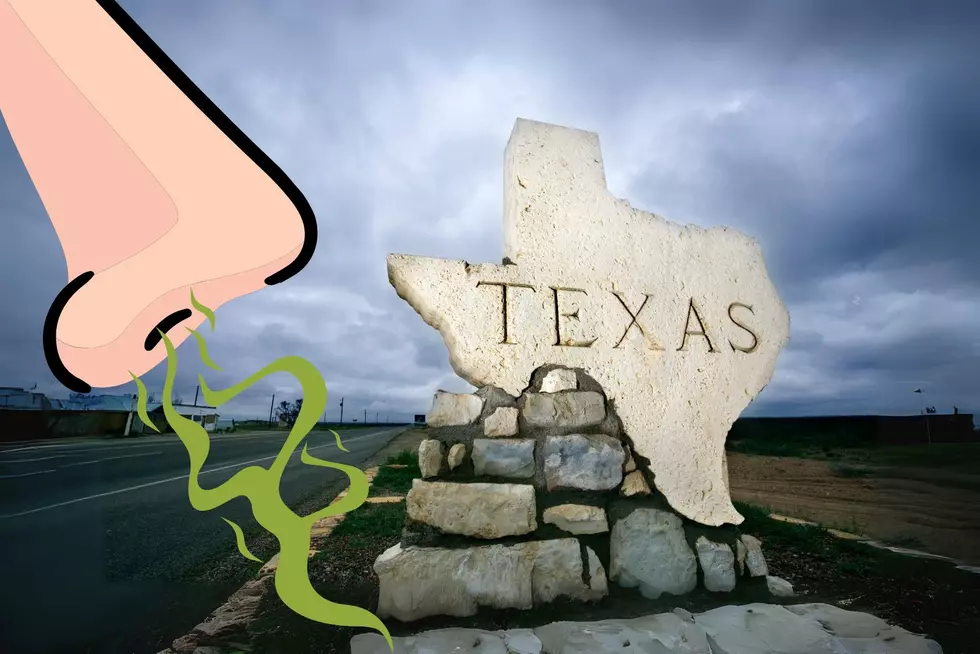 What Stenches Do Texans Love? Here&#8217;s The Top 10 Smells Of Texas