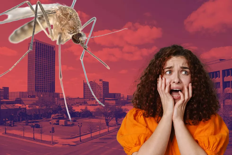  What You Need To Know About Amarillo Mosquito Forecast 2024