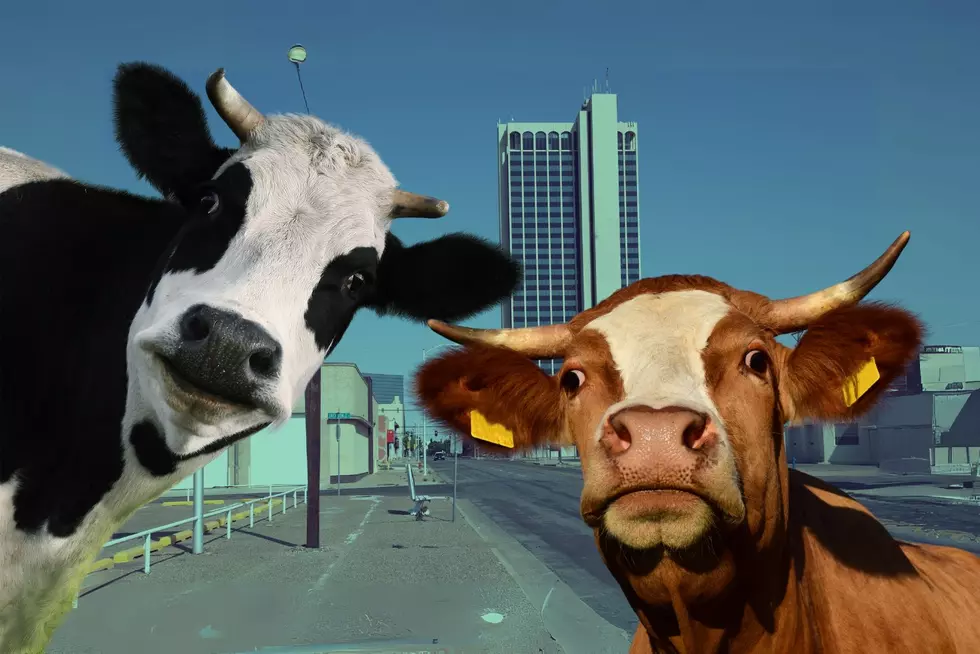 How Much Has Amarillo Changed? There’s More People Than Cows.
