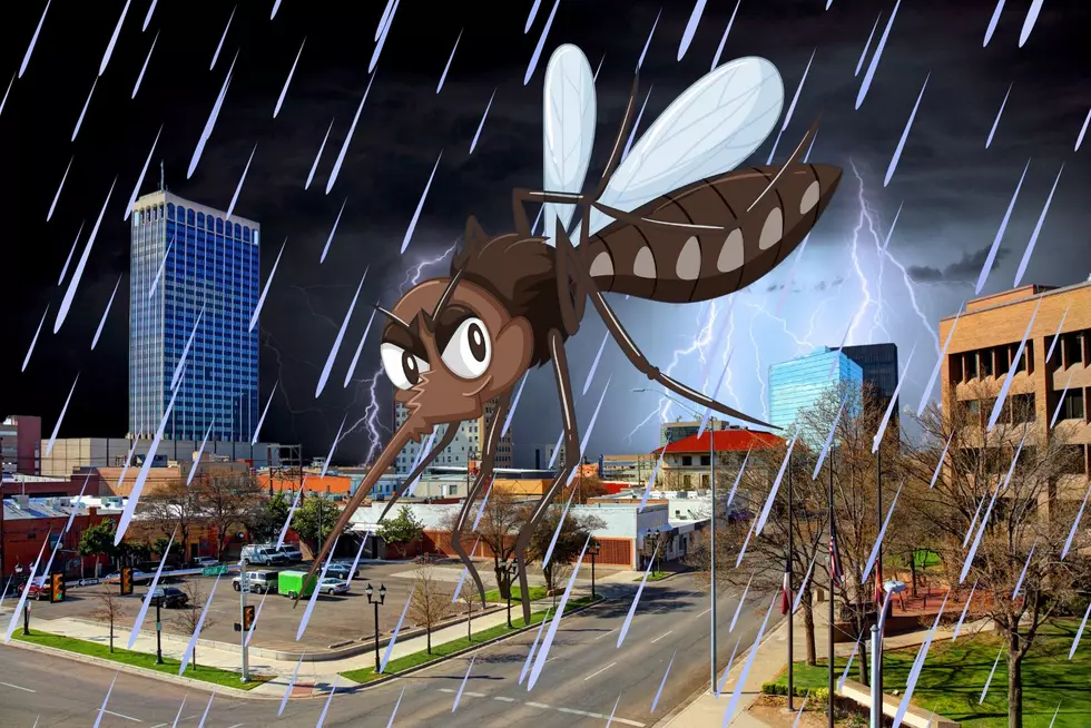 With All Of The Rain Amarillo Is Getting, The Mosquitoes Are Swarming
