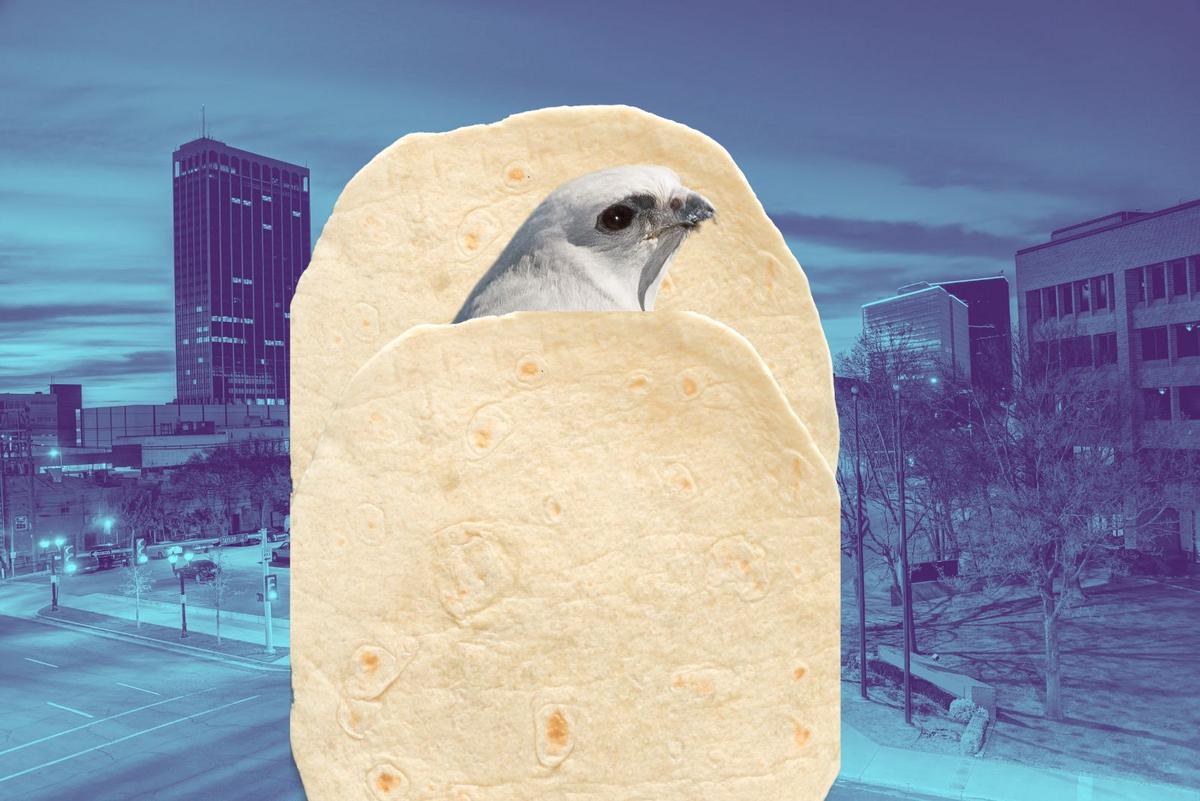 The internet-famous “tortilla-wrapped bird” comes from Amarillo!