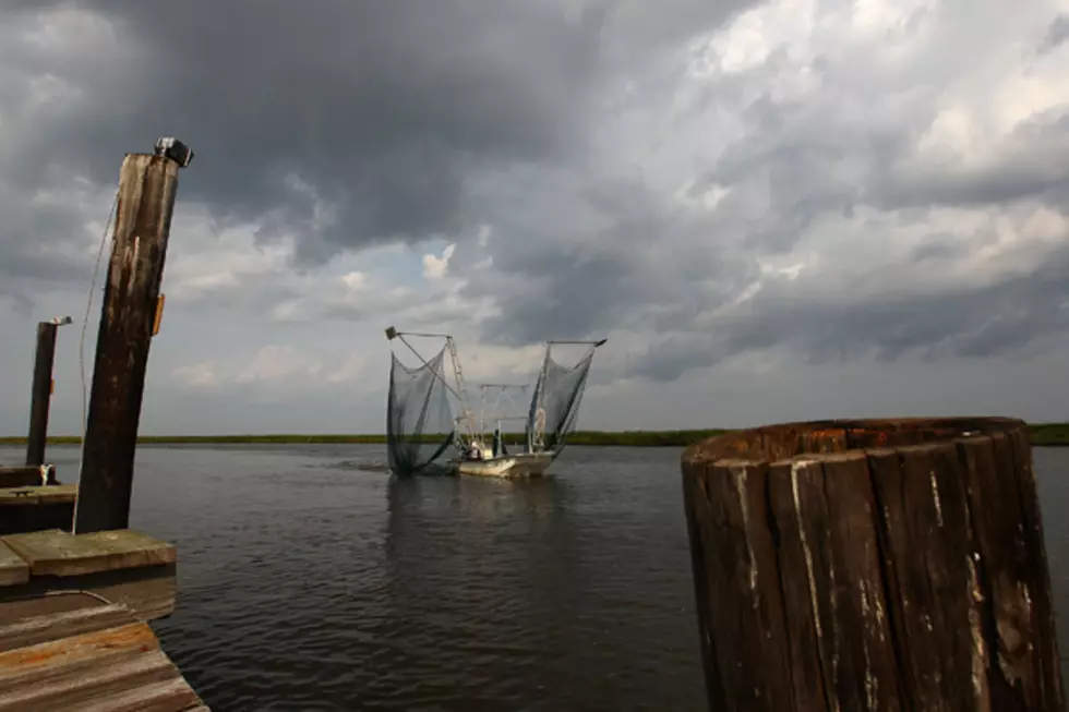 Help Restore Coastal Louisiana