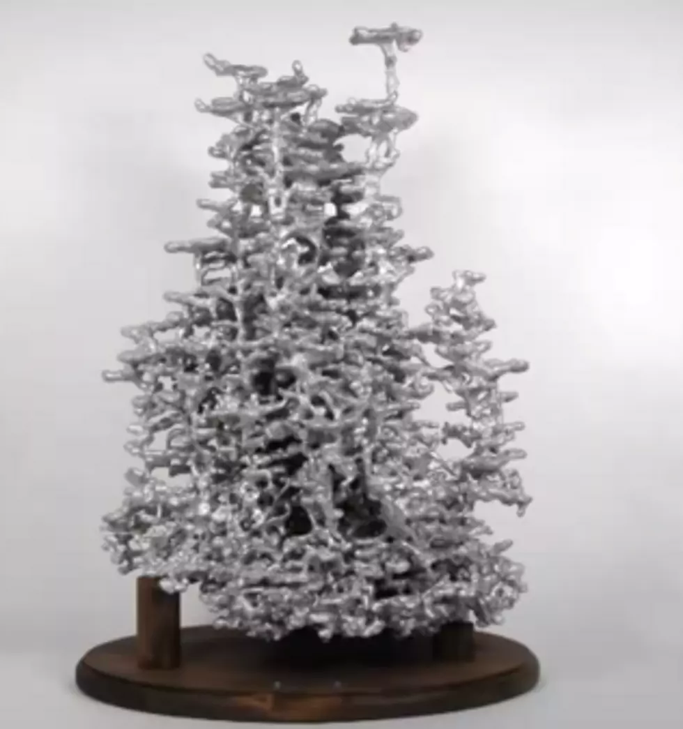 A Very Unique and One of a Kind Gift Made From an Ant Bed [VIDEO]
