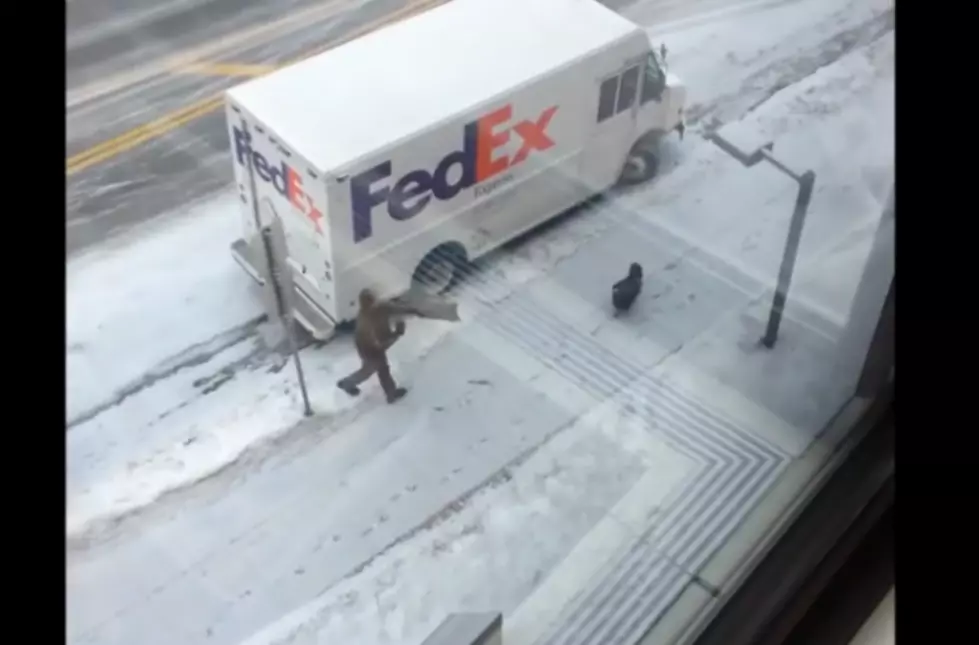 UPS Driver Victimized by Turkey [VIDEO]