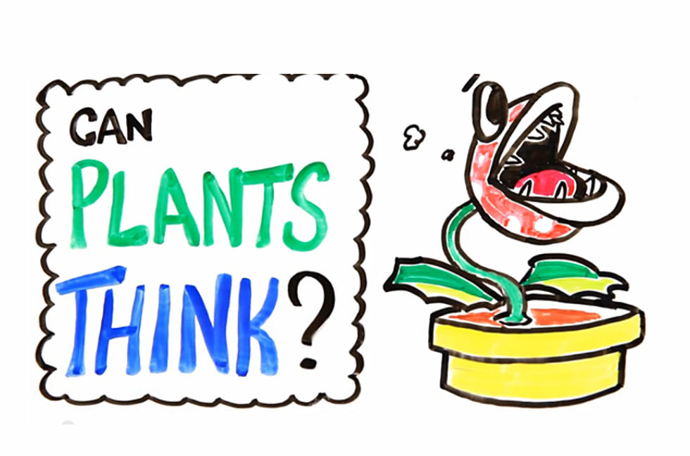 Plants are Smart