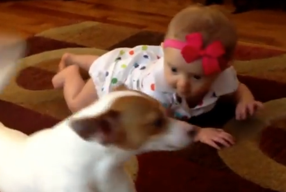 Dog Teaches Baby to Crawl