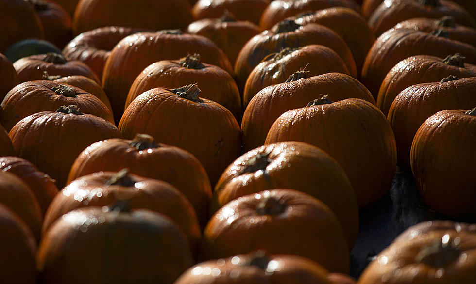 Safe Trick or Treating for a Cause