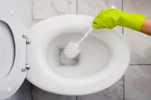 DIY Toilet Cleaners