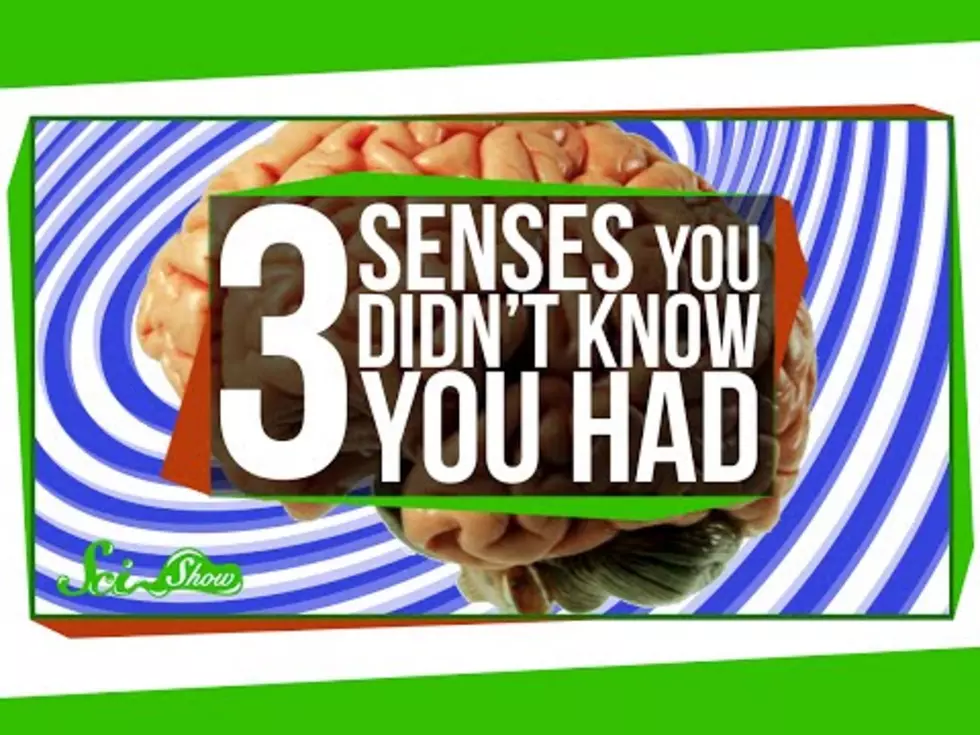 Science Says We Have More Than 5 Senses