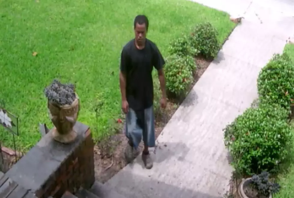 Can You I.D. This Package Thief?