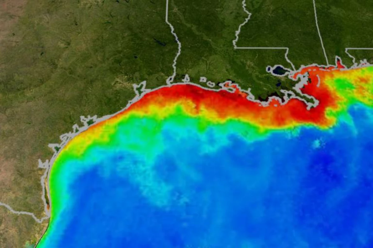 Massive 'Dead Zone' in Gulf of of Mexico