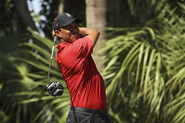 Tiger Woods Hits Goose On Tee Shot [WATCH]