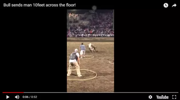 Morons Play &#8220;Last Man Standing&#8221; with A Real Bull [WATCH]