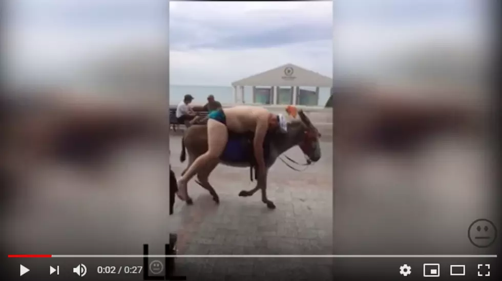 Cops Following Behind A Drunk Guy On A Donkey [WATCH]