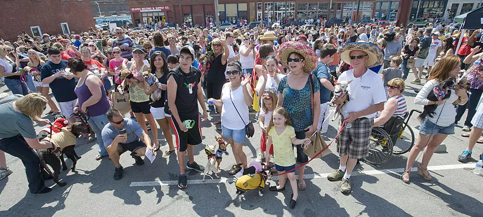 Family Friendly Zone During Lake Charles Mardi Gras Returns