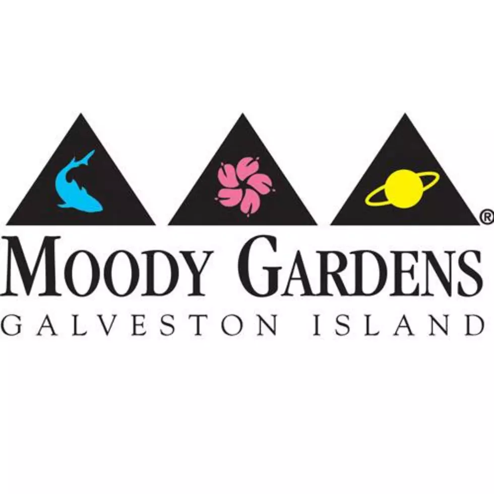 Score A Family Four Pack Of Passes To Moody Gardens