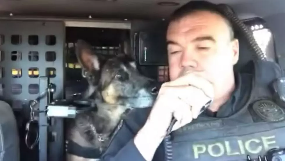 A Retiring K-9 Is Honored For His Seven Years Of Service