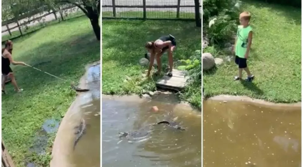 Woman Climbs Into Gator Pit With Her Son to Retrieve Wallet