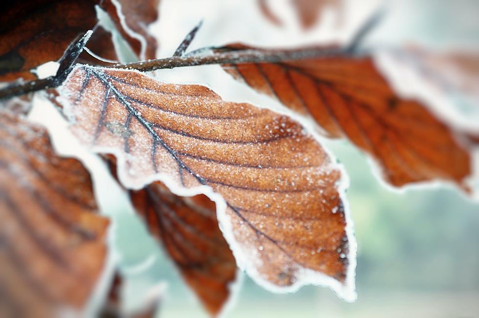 Farmer’s Almanac Predicts Baton Rouge, Louisiana First Frost This Fall