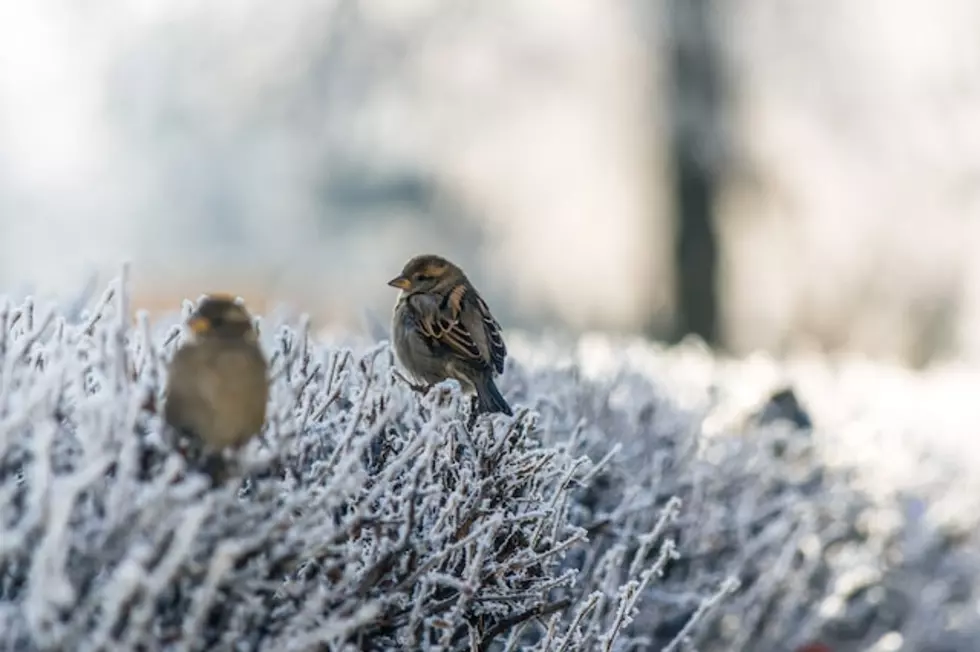 Photo by Genessa Panainte on Unsplash