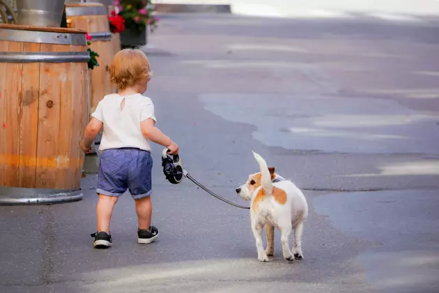 Skipping Walks With Your Dog Can Be Bad For Their Health