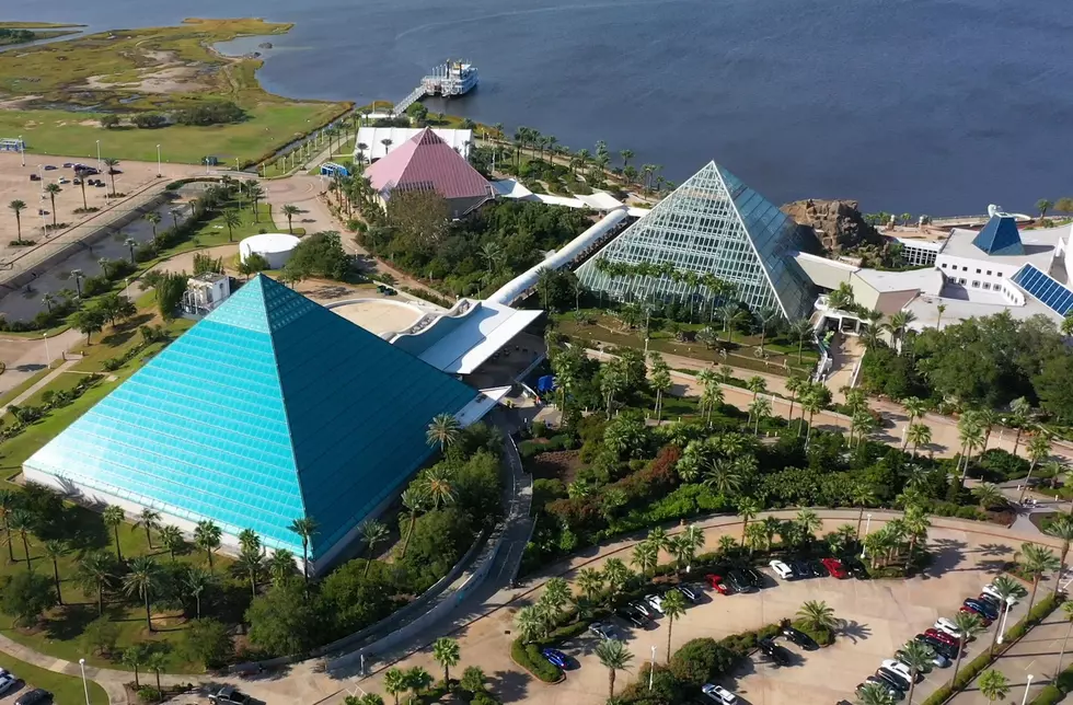 Win Four Passes To Moody Gardens In Galveston All Week