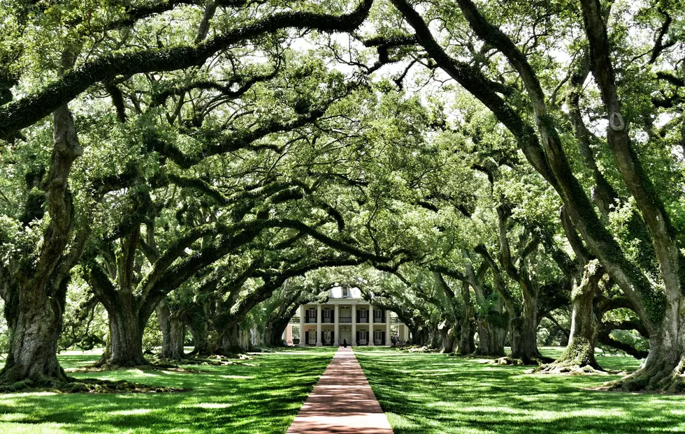 Two Louisiana Destinations Named Among Best Places To Visit In America