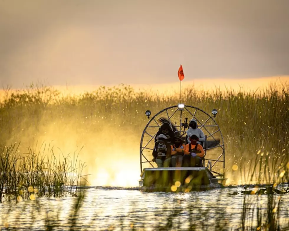 Discover the Best Swamp Tours in Louisiana