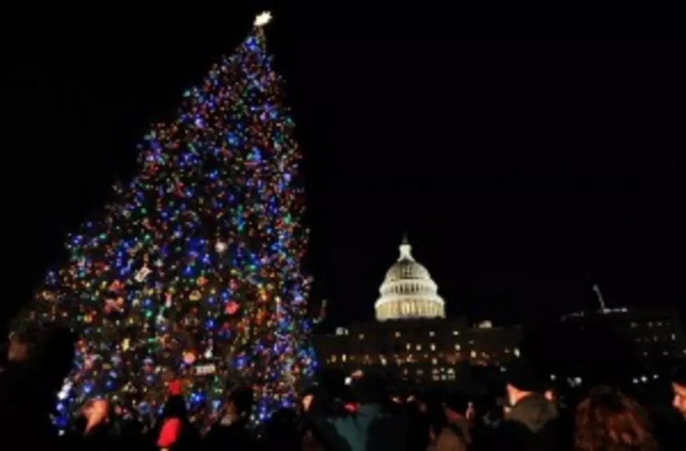 National Christmas Tree Lighting!
