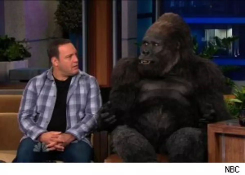 “The Tonight Show” With “Bernie The Gorilla” [Video]