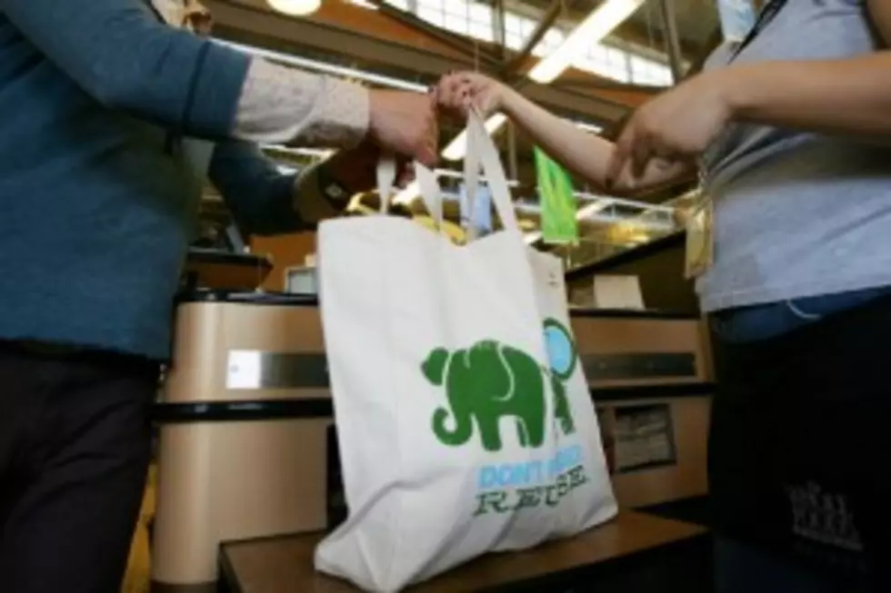 Study: Reusable Shopping Bags Bring Home Bacteria