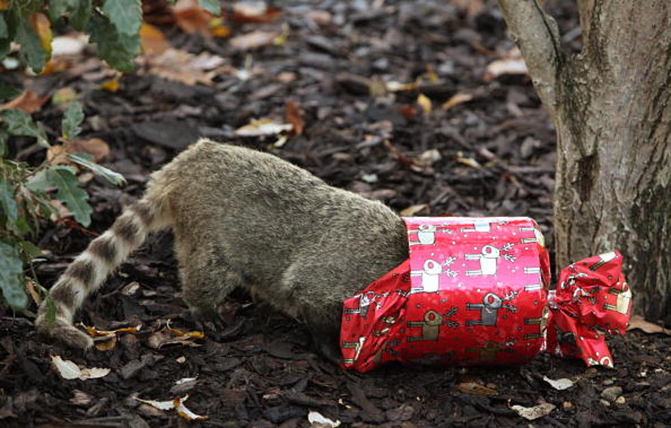 What’s The Worst Christmas Gift You’ve Ever Received?  The Impossible Question