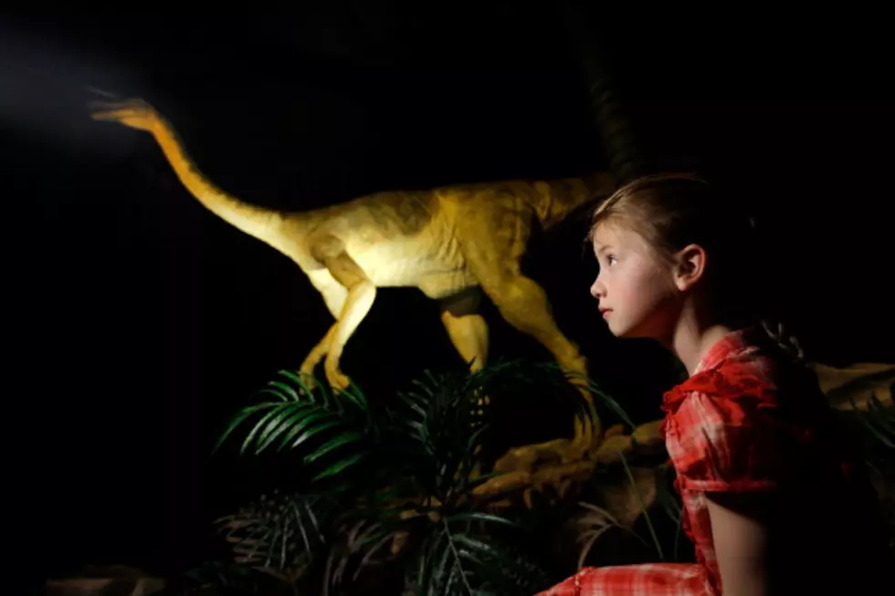 Did Gas-Passing Dinosaurs Help Warm The Earth?