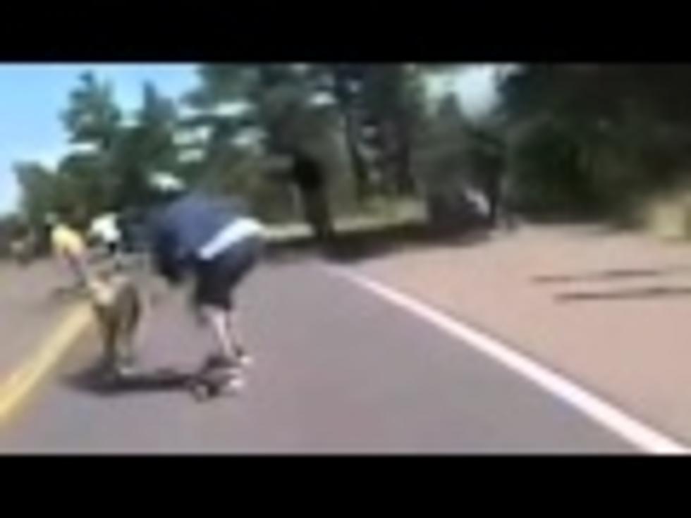 Deer And Skateboarder Collision [VIDEO]