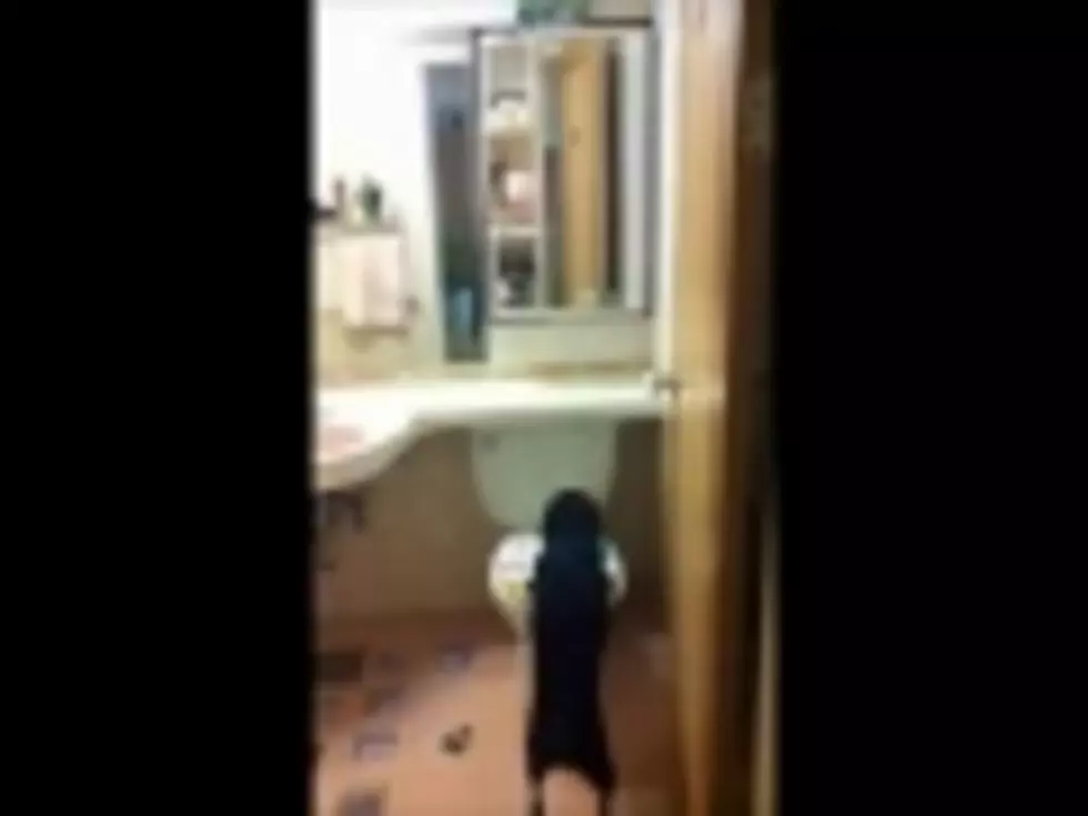Dog Actually Uses the Bathroom [VIDEO]