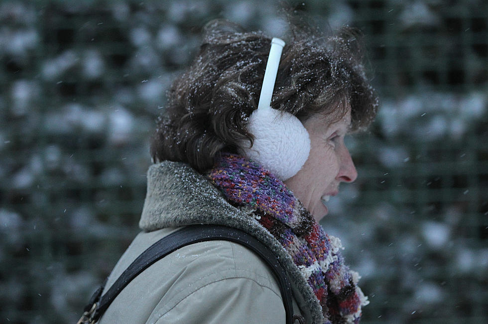 The Coolest Pair Of Ear Muffs Ever! [PICTURES]