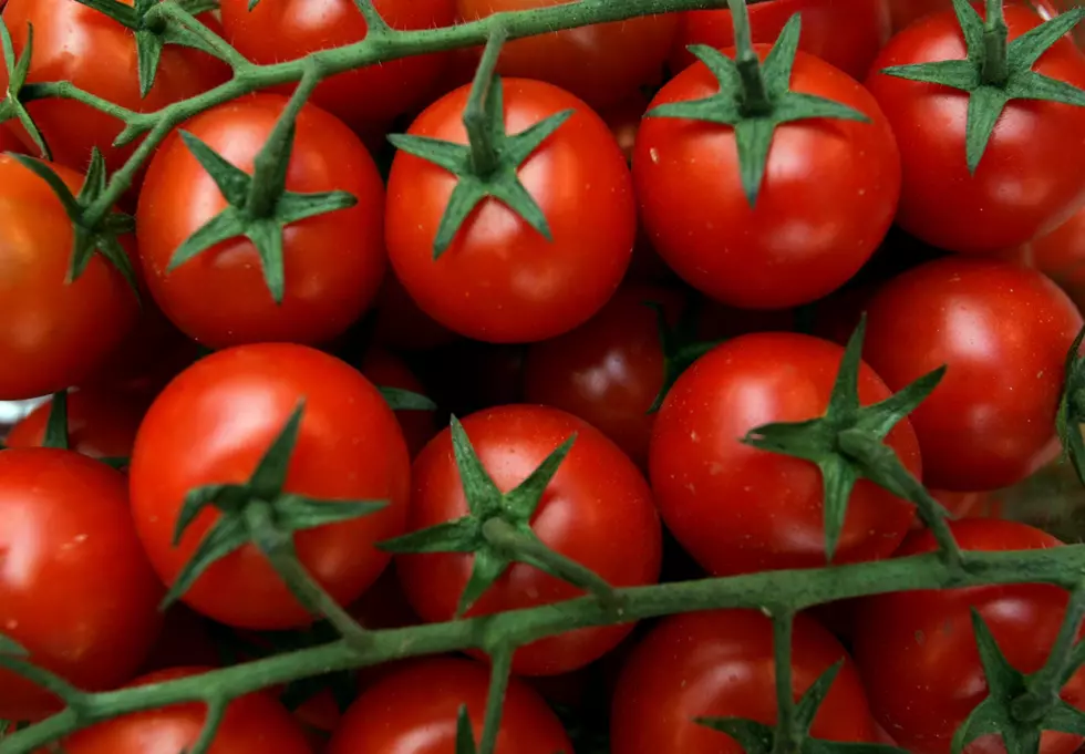 You Are Cutting That Tomato Wrong! [VIDEO]