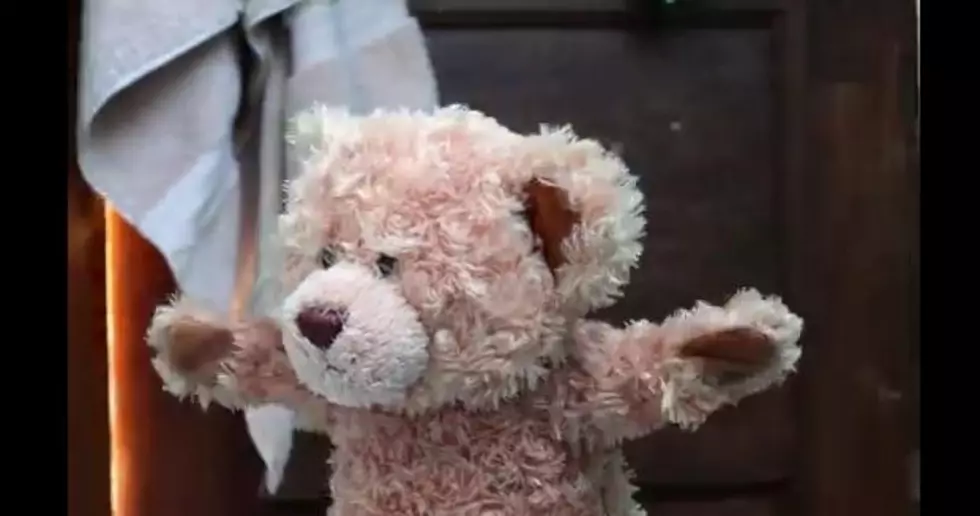 Teddy Bear Meets His New Best Friend — And Melts Your Heart! [VIDEO]