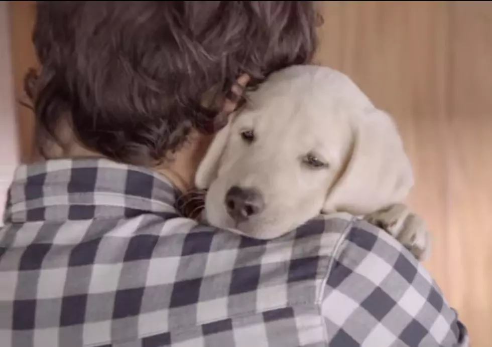 New Budweiser Commercial “Friends Are Waiting” [VIDEO]