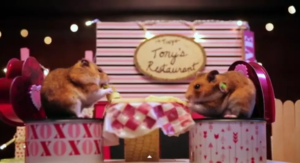 Cutest, Tiniest Valentine&#8217;s Day Date You&#8217;ve Ever Seen [VIDEO]